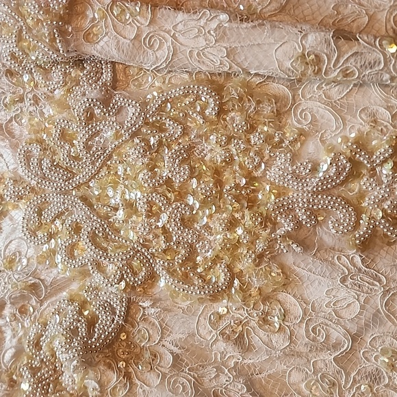Gorgeous beaded lace sequin gown sold as is - Picture 6 of 11